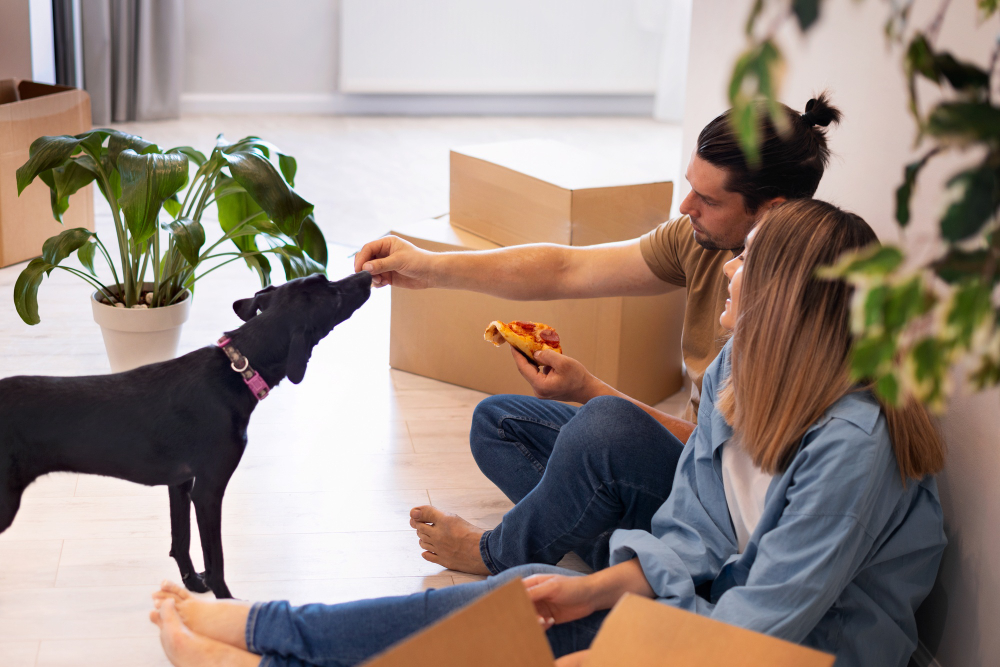 A Complete Guide to Relocating with Your Pets